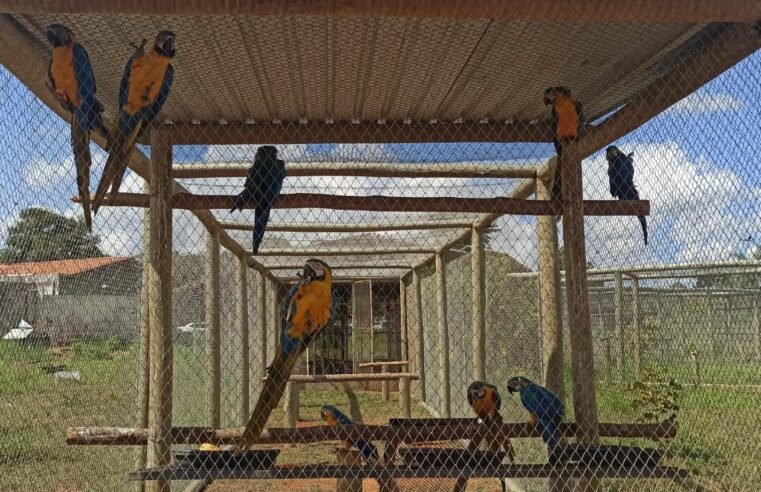 Acordo estabelece gestão compartilhada do Centro de Triagem de Animais Silvestres do Ibama