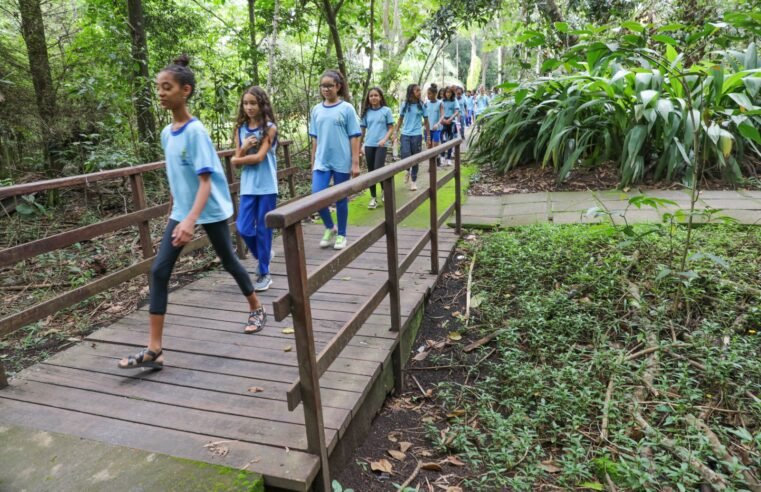 Alunos da rede de ensino passam por atividades imersivas no Cerrado