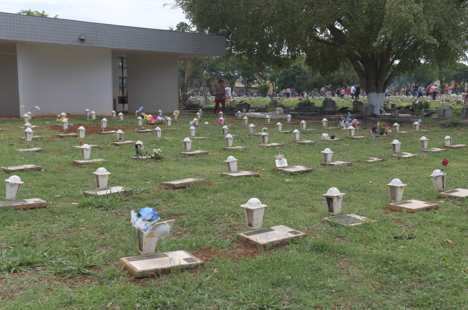 Funerárias do Distrito Federal têm até 26 de abril para atualizar os dados cadastrais Funerárias do Distrito Federal têm até 26 de abril para atualizar os dados cadastrais