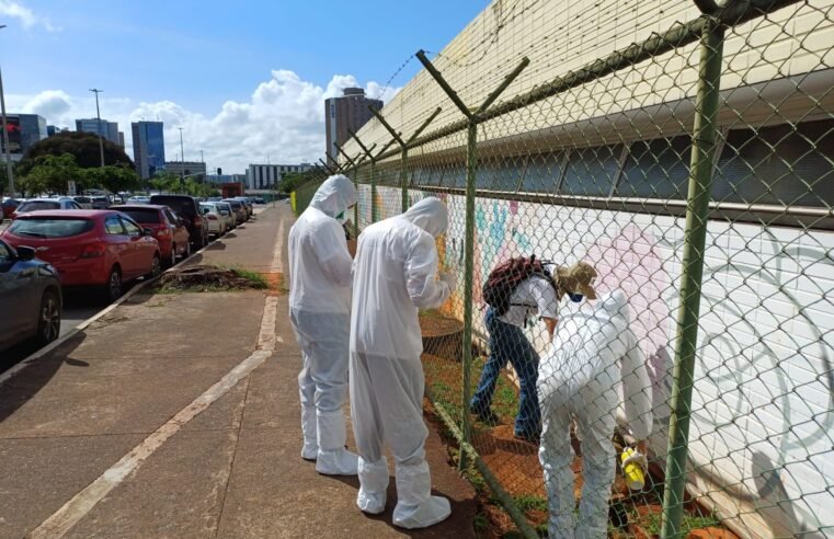 HBDF intensifica ações preventivas para o controle de pragas