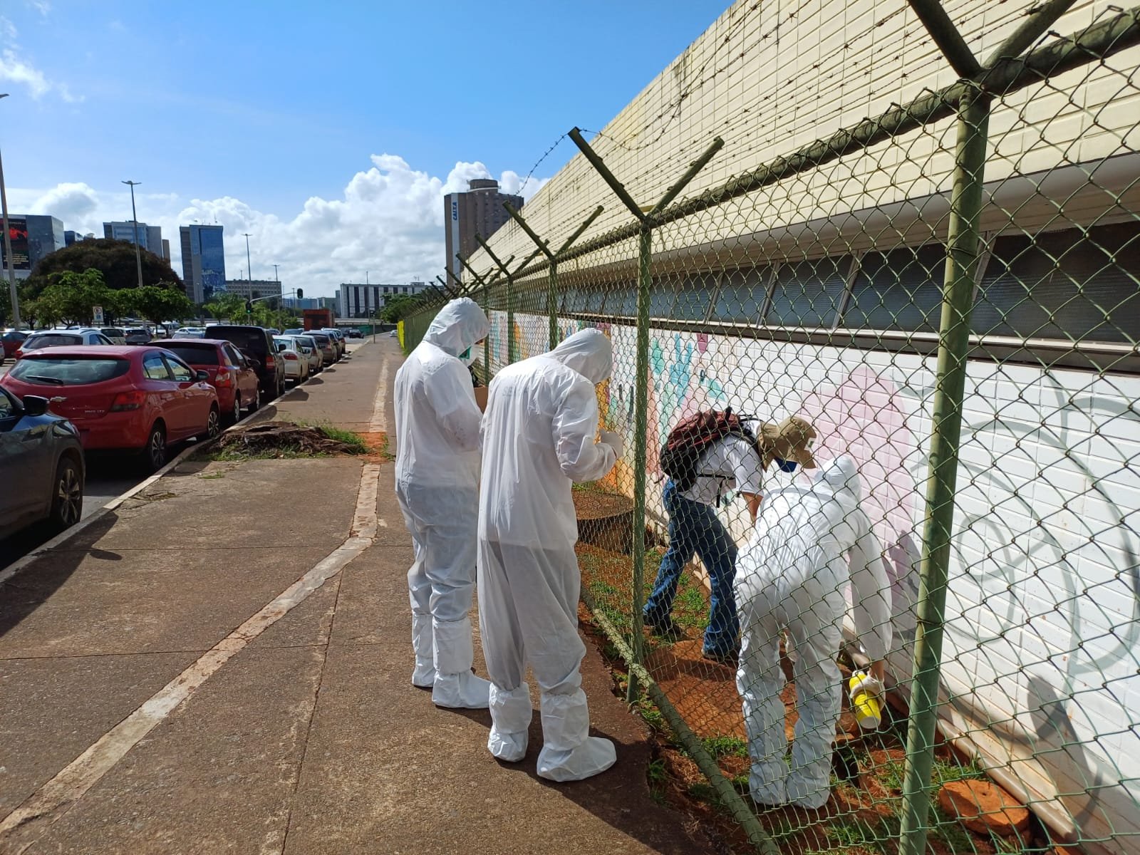 HBDF intensifica ações preventivas para o controle de pragas