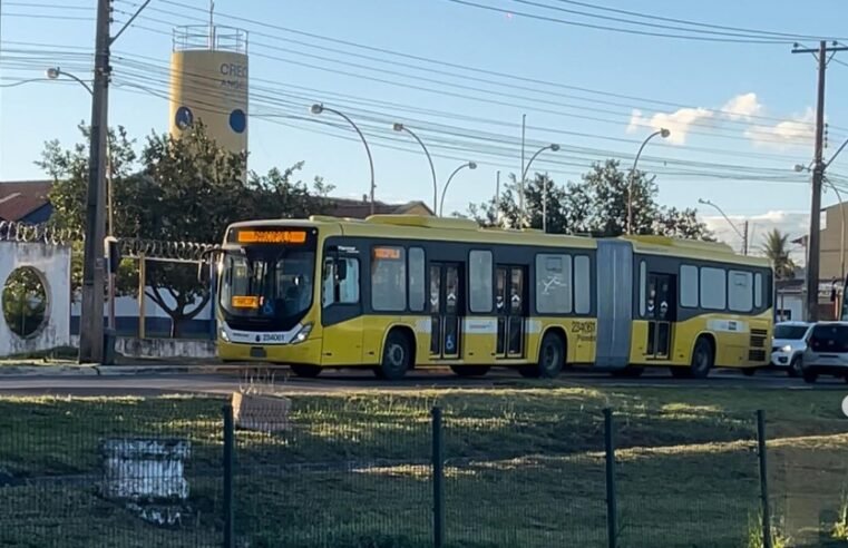 Transporte público do DF recebe 10 articulados novos para o BRT Sul