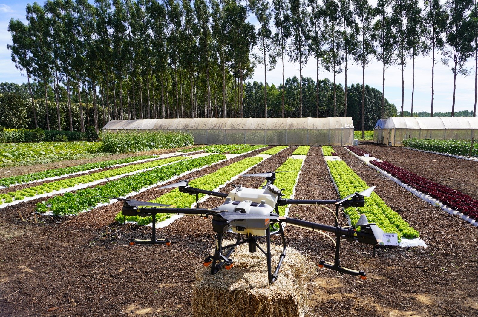 Evento vai orientar sobre agroindustrialização para aumentar renda do produtor rural Evento vai orientar sobre agroindustrialização para aumentar renda do produtor rural