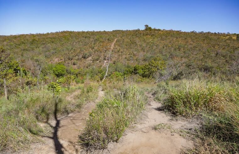 Fórum Integrado promove conscientização sobre a proteção do Cerrado