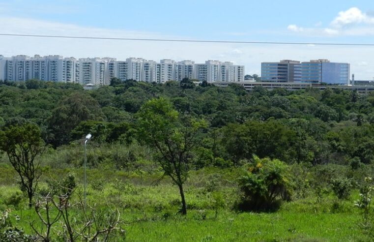 Parque Ecológico Ezechias Heringer do Guará fecha para manutenção