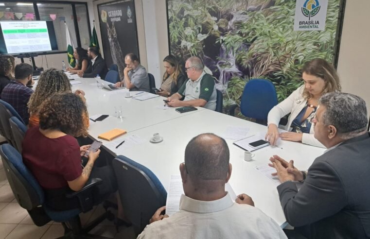 Câmara de Compensação aprova destinação de R$ 1,2 milhão a ações ambientais