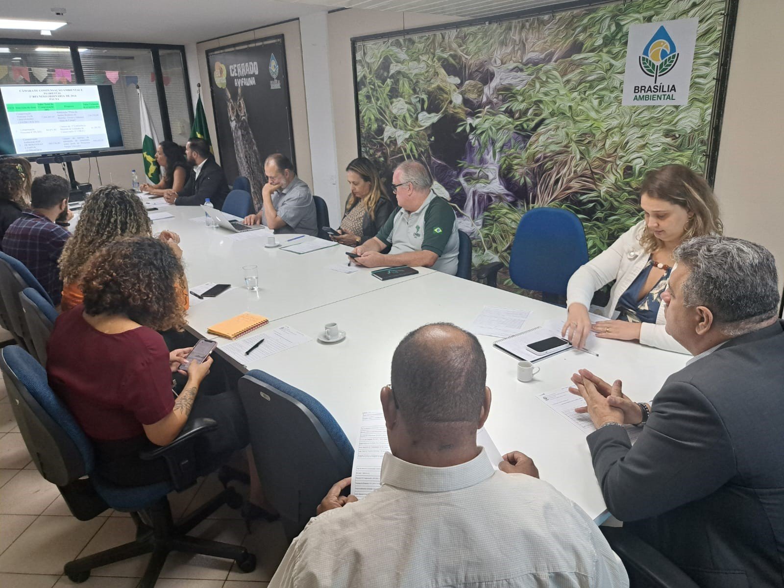 Câmara de Compensação aprova destinação de R$ 1,2 milhão a ações ambientais Câmara de Compensação aprova destinação de R$ 1,2 milhão a ações ambientais