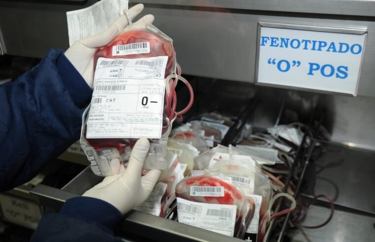 Evento estimula doação de sangue fenotipado para pacientes com doença falciforme