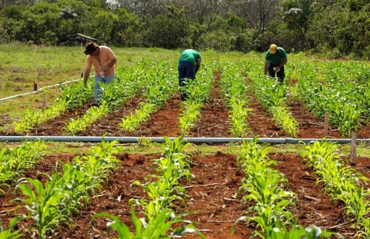 Grupo de trabalho que beneficia programas ambientais é restruturado