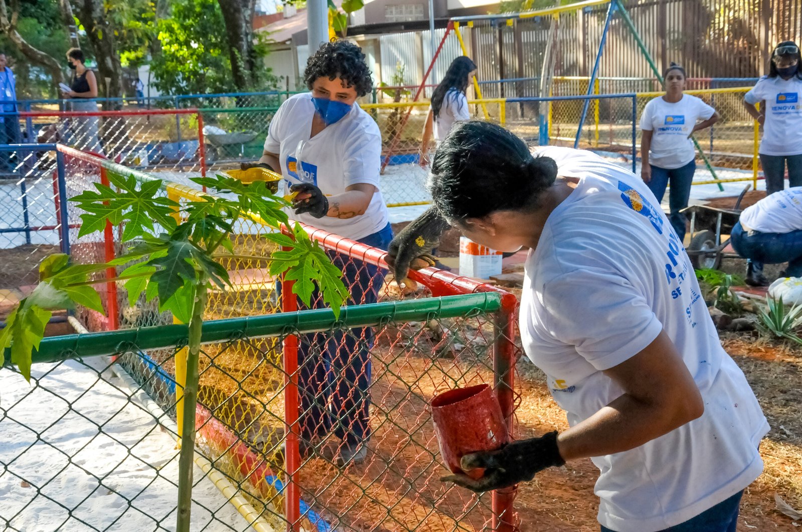 Inscrições abertas para 1,5 mil vagas em novo ciclo do programa RenovaDF Inscrições abertas para 1,5 mil vagas em novo ciclo do programa RenovaDF