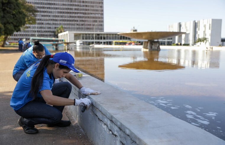 Alunos do RenovaDF trabalham em manutenção da Praça do Buriti
