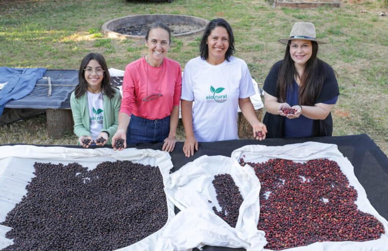 Cafeicultoras se unem para fortalecer cadeia produtiva do grão no DF