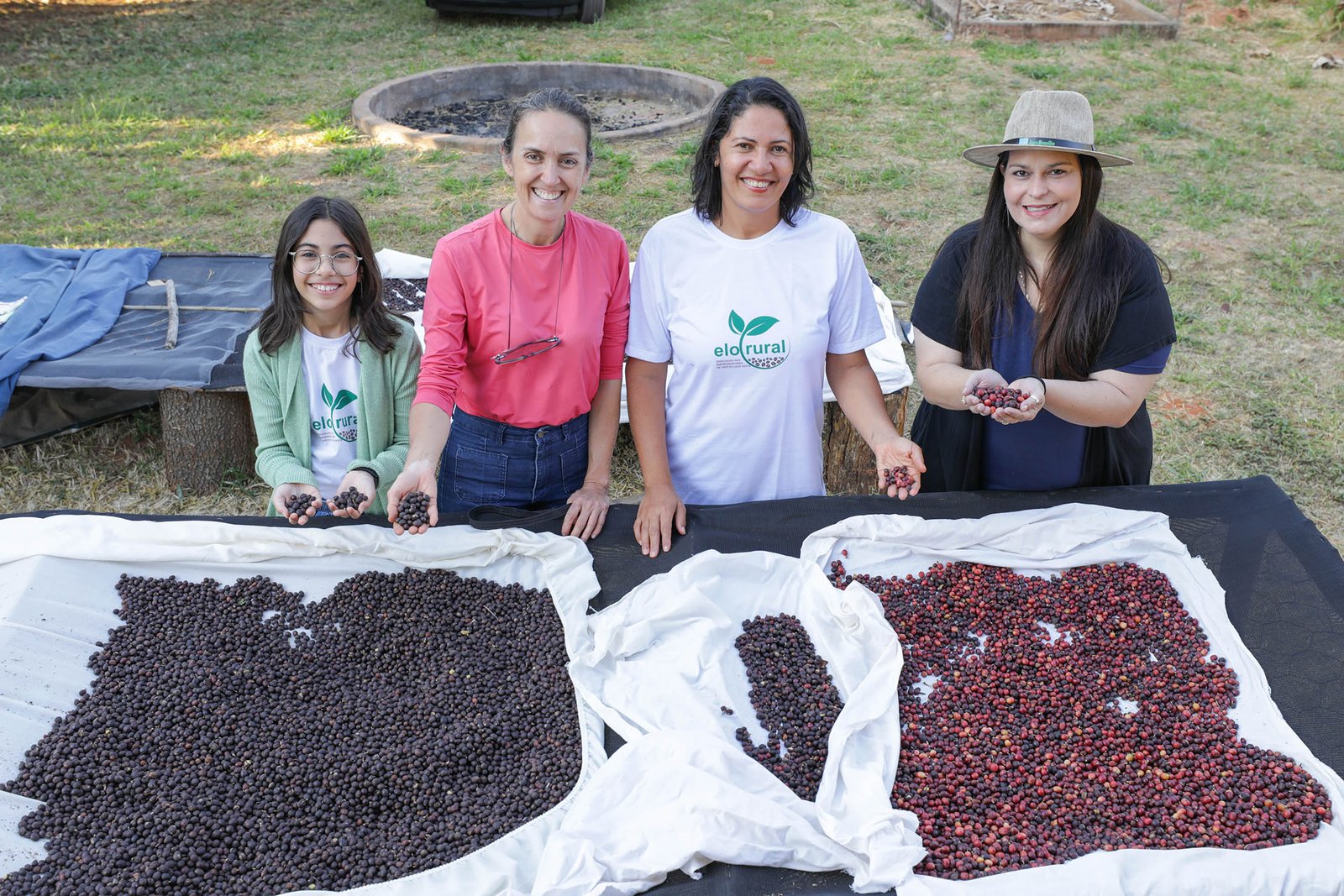 Cafeicultoras se unem para fortalecer cadeia produtiva do grão no DF