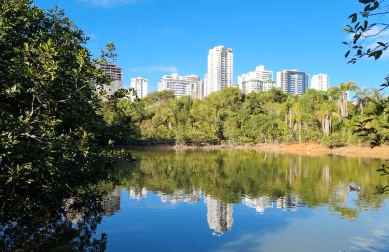 Conferência distrital sobre unidades de conservação tem inscrições até sábado (20)