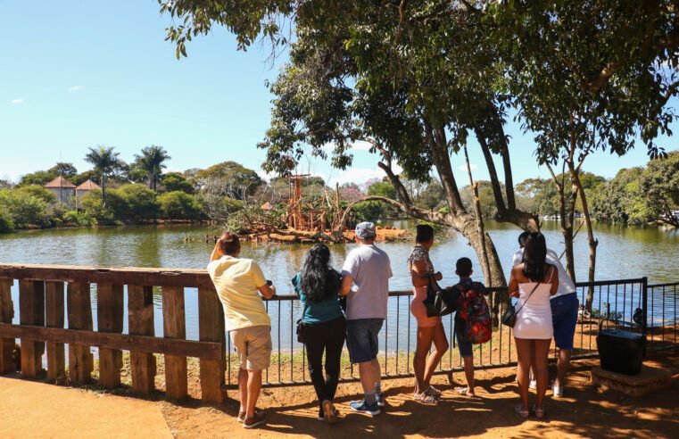Explore o Quadrado: Diversão com os bichinhos do Zoo durante as férias escolares
