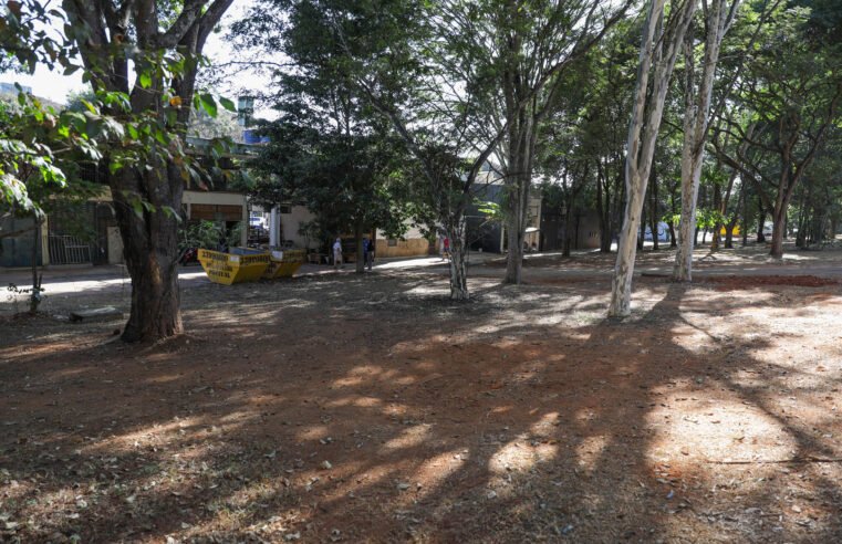 GDF retira lixo guardado por acumulador em comercial do Plano Piloto