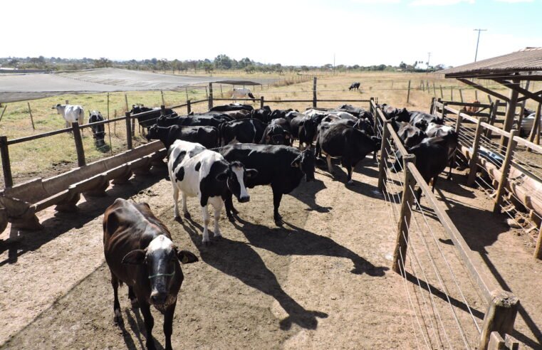 Começa nesta quarta (11) o Seminário de Pecuária Orgânica e de Base Agroecológica
