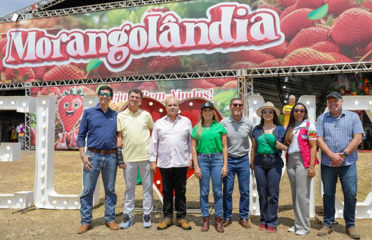 Festa do Morango movimenta a economia de Brazlândia com comercialização de produtos, feira de artesanato e shows