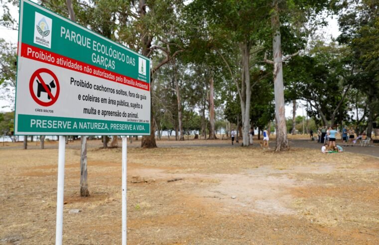 Plano de ocupação ao lado do Parque das Garças vai levar infraestrutura e lazer aos brasilienses