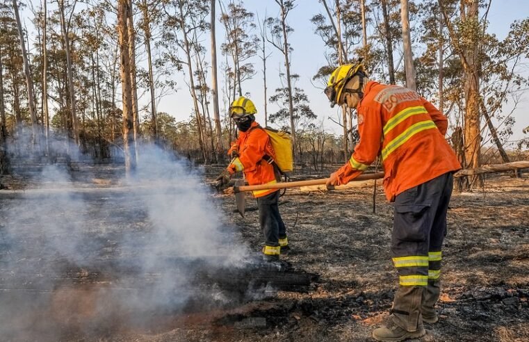 Mais de cem militares, 12 viaturas e aeronave atuam no combate ao incêndio no Guará