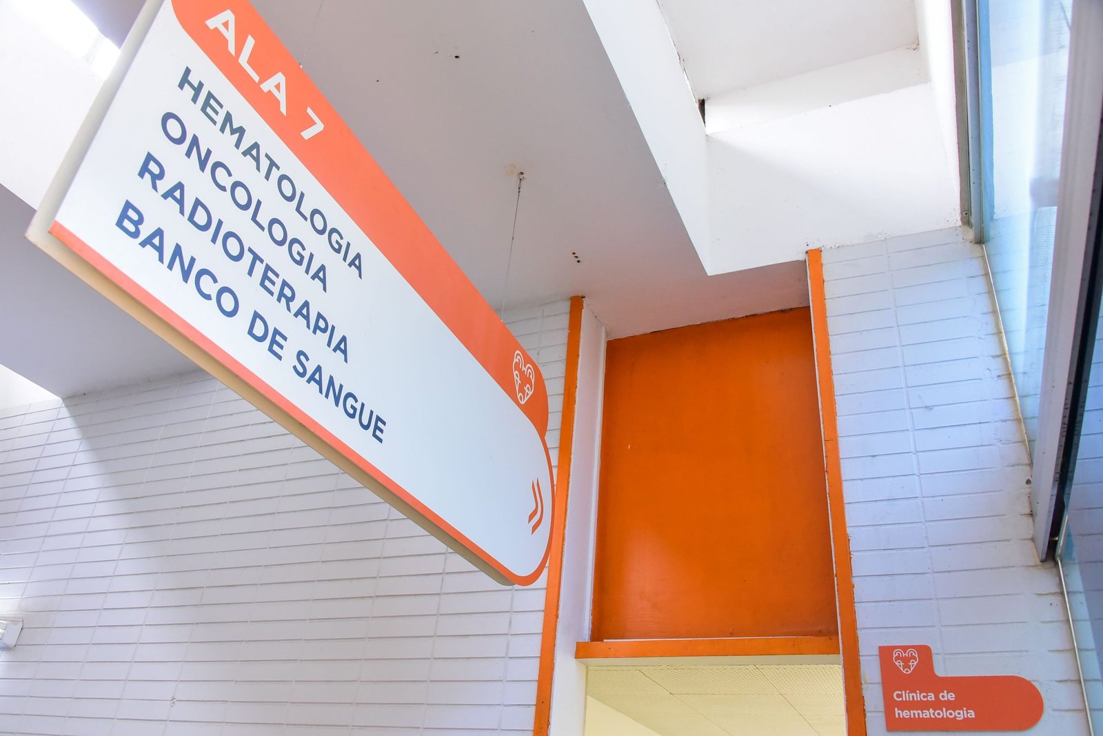 Aprovada ampliação de serviços para transplante de medula óssea no HBDF Aprovada ampliação de serviços para transplante de medula óssea no HBDF