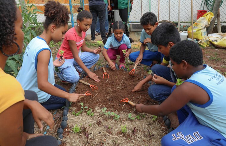 Colégio público em Brazlândia se destaca por adaptar aulas à realidade dos alunos