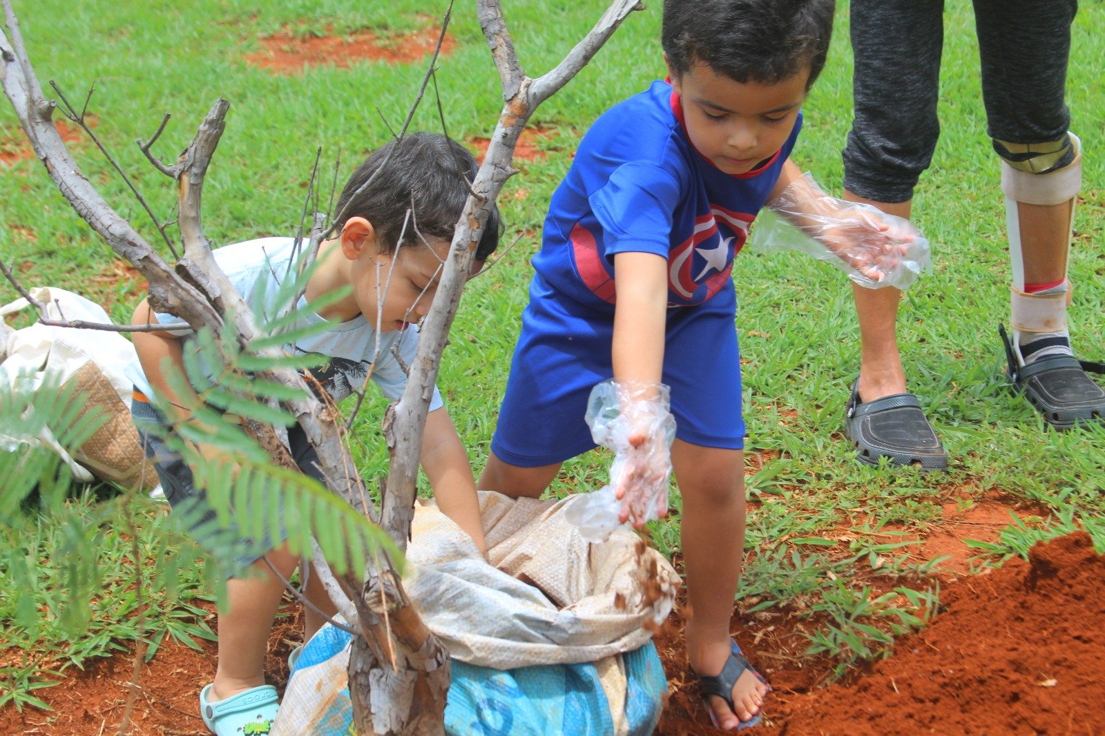 Dia de Plantar promove mobilização em prol do Cerrado com ações simultâneas em parques do DF Dia de Plantar promove mobilização em prol do Cerrado com ações simultâneas em parques do DF
