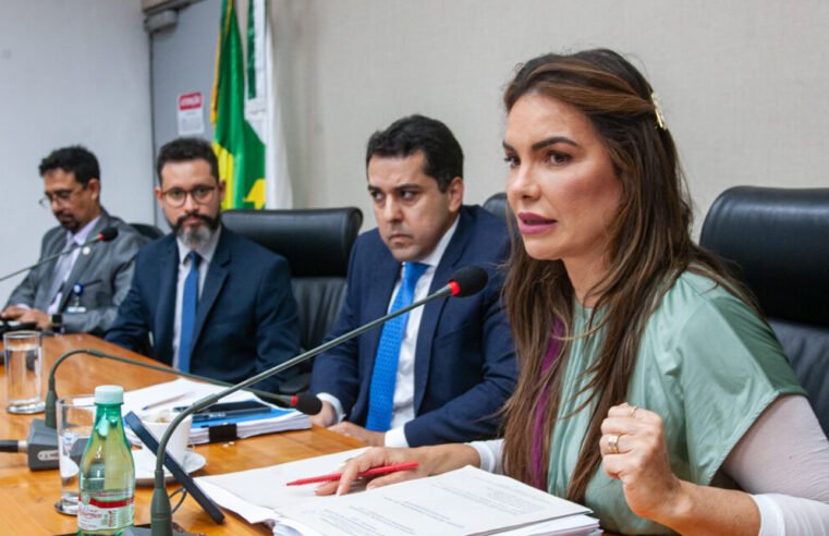 Distritais analisam contas e metas do IgesDF em audiência pública