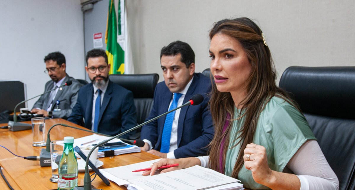 Distritais analisam contas e metas do IgesDF em audiência pública