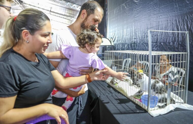 Feira no Parque da Cidade alerta para os cuidados de prevenção do câncer em cães e gatos