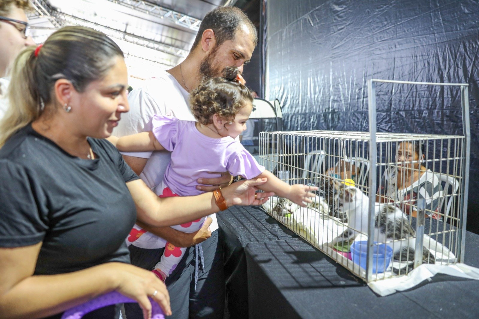 Feira no Parque da Cidade alerta para os cuidados de prevenção do câncer em cães e gatos Feira no Parque da Cidade alerta para os cuidados de prevenção do câncer em cães e gatos