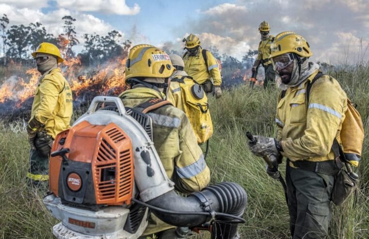 Fórum discute prevenção e combate a incêndios florestais
