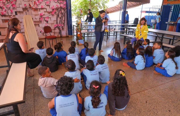GDF participa do lançamento das diretrizes para educação infantil
