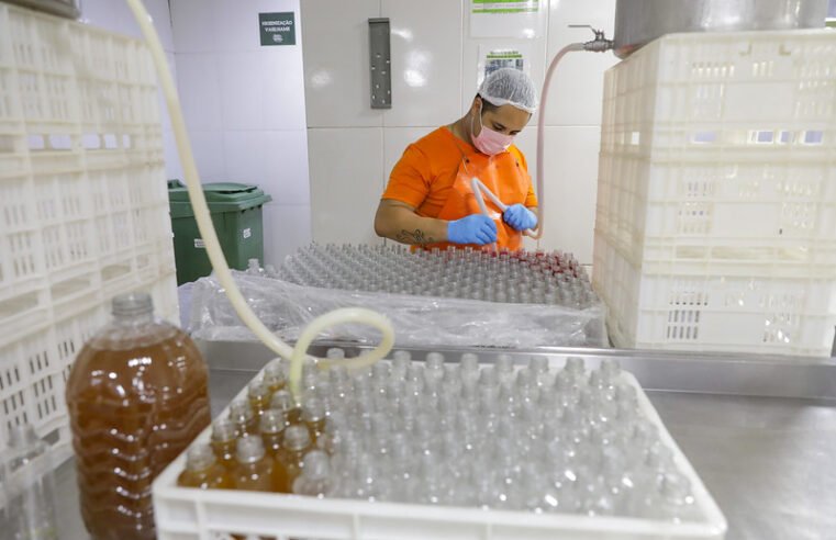 Resultado de pesquisa sobre ambiente empresarial na capital será divulgado nesta quinta (28)