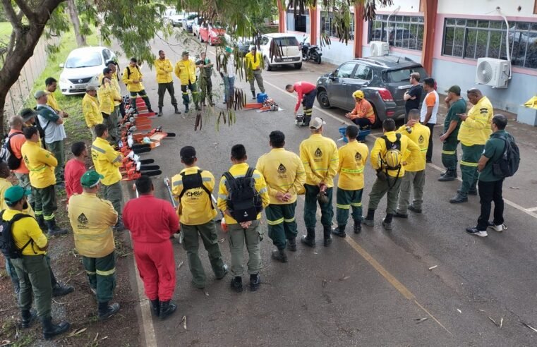 Servidores do Brasília Ambiental participam de curso de operação de motosserras do CBMDF