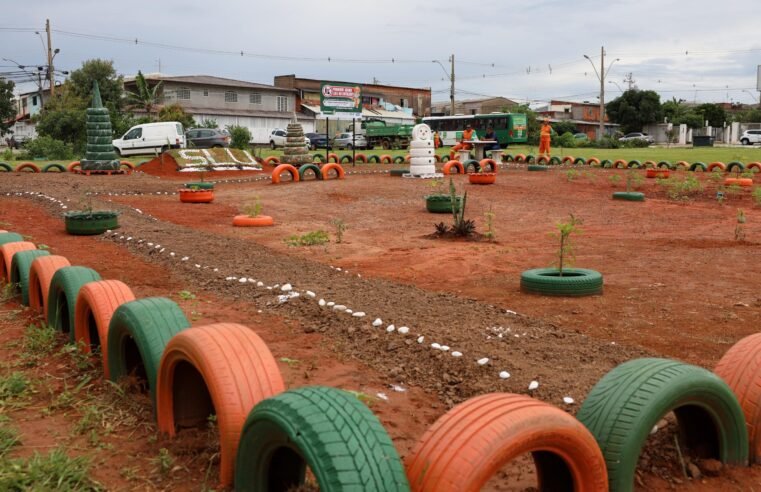 Projeto De Cara Nova retira 35 toneladas de entulho de lixão irregular no Riacho Fundo II