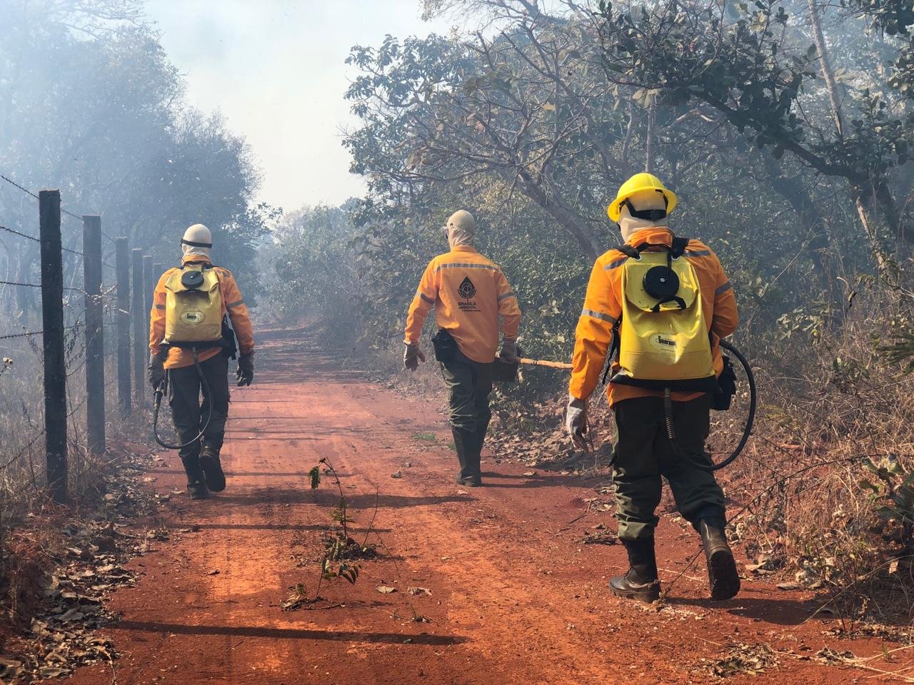 Brasília Ambiental destaca investimentos na brigada florestal em 2024 Brasília Ambiental destaca investimentos na brigada florestal em 2024