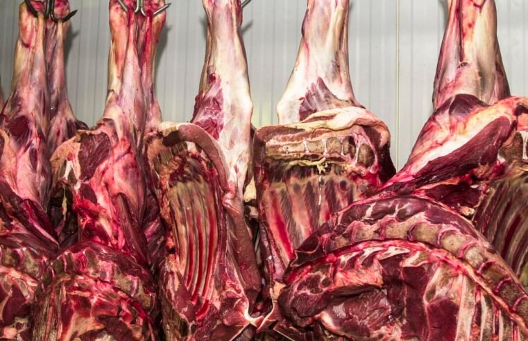 China abre investigação sobre importação de carne bovina