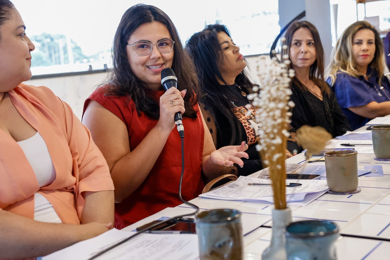 Conselho dos Direitos da Mulher define planejamento estratégico para 2025 Conselho dos Direitos da Mulher define planejamento estratégico para 2025