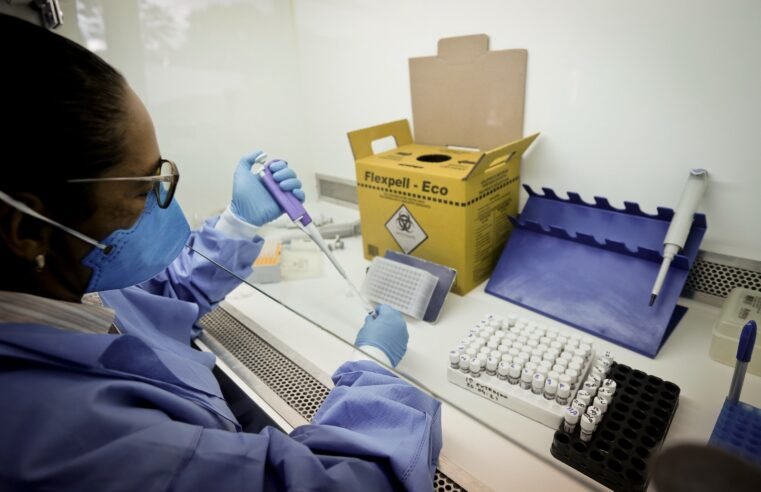 Cooperação entre agricultura e saúde reforça segurança alimentar e hídrica no Distrito Federal