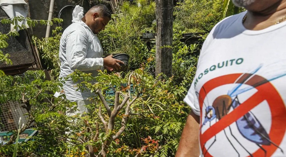 Dia D contra dengue promove ações de conscientização em todo o Brasil