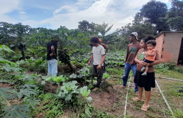 GDF entrega certificados a produtores orgânicos de assentamento no Paranoá