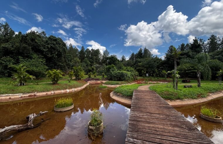 Jardim Botânico de Brasília: Um ano de conquistas e avanços na preservação do Cerrado