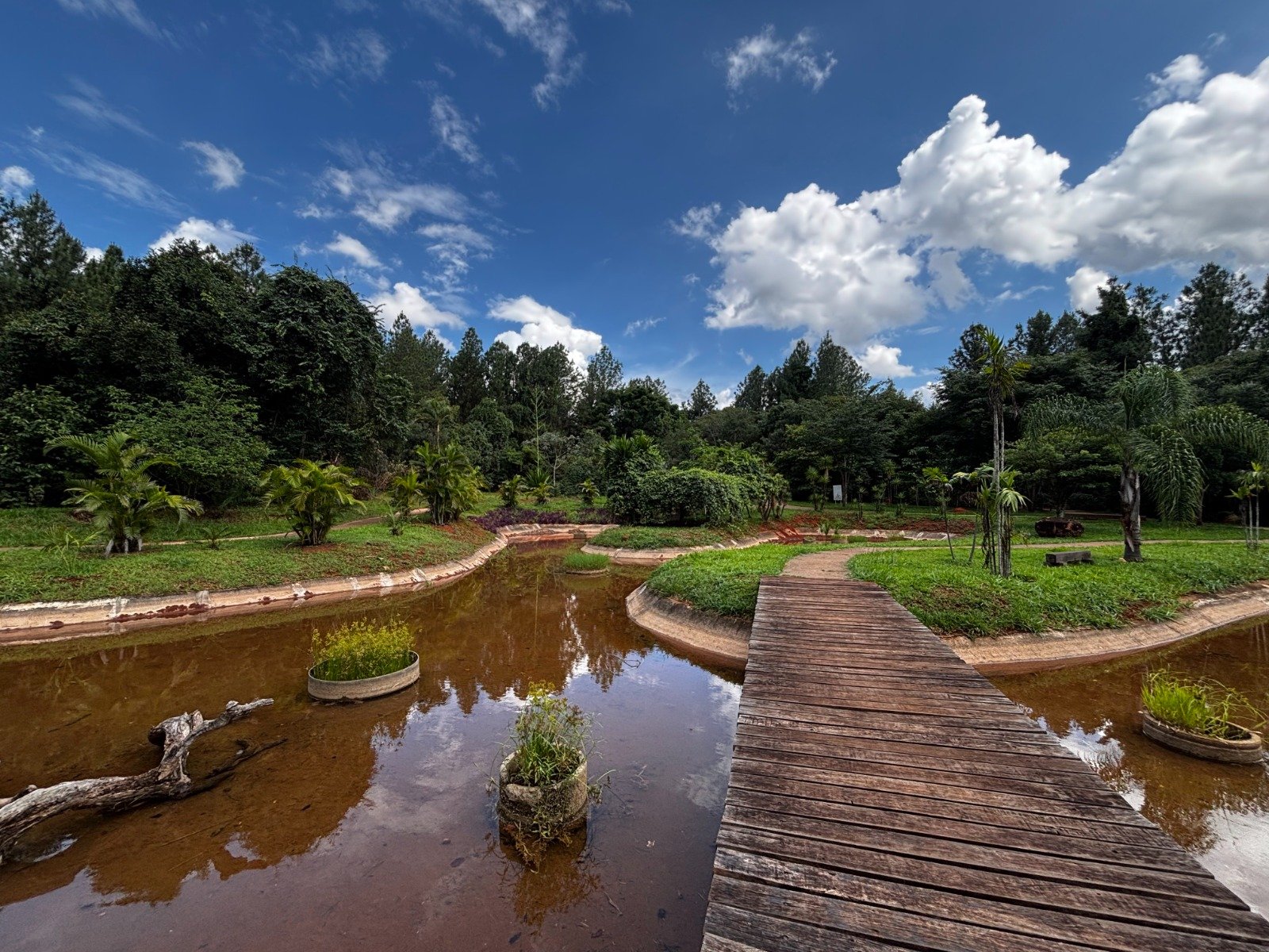 Jardim Botânico de Brasília: Um ano de conquistas e avanços na preservação do Cerrado