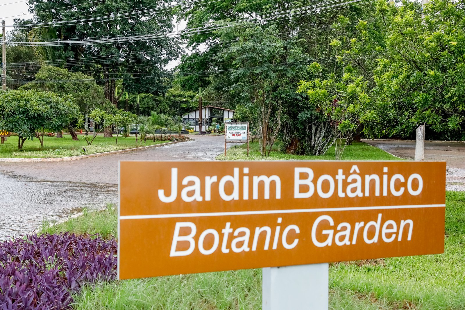 Jardim Botânico de Brasília aprimora ações de conservação da flora do Cerrado Jardim Botânico de Brasília aprimora ações de conservação da flora do Cerrado