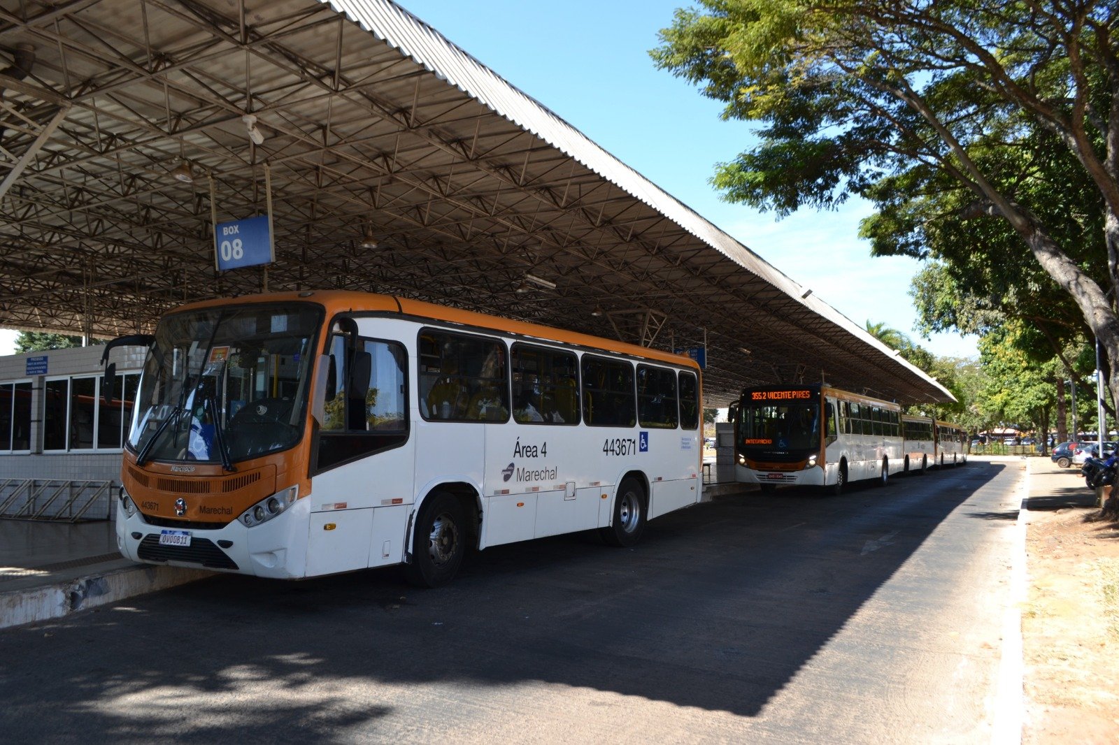 Linhas de ônibus na Colônia Agrícola Samambaia terão itinerário novo