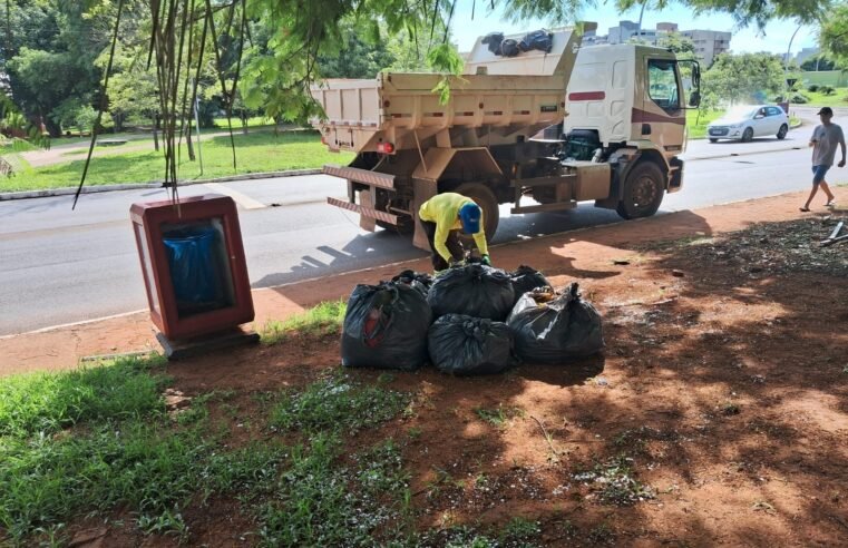 Mutirão promove retirada de lixo verde em quadras do Plano Piloto  