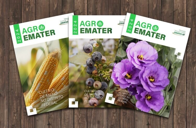 Novas edições de informativo técnico indicam tendências do agronegócio no DF