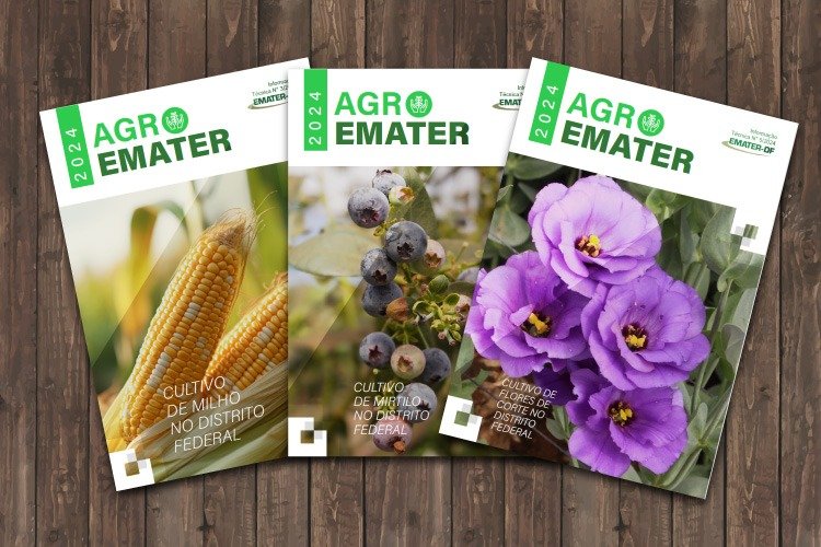 Novas edições de informativo técnico indicam tendências do agronegócio no DF Novas edições de informativo técnico indicam tendências do agronegócio no DF