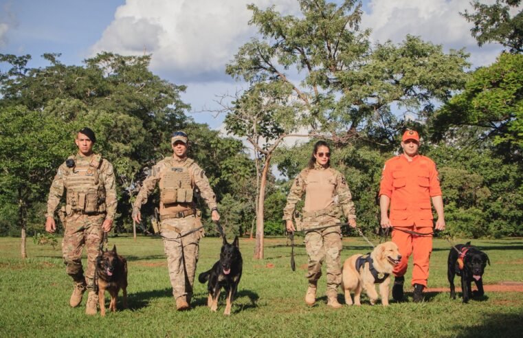 Primeiro Natal Pets tem demonstração de cães e ações de conscientização